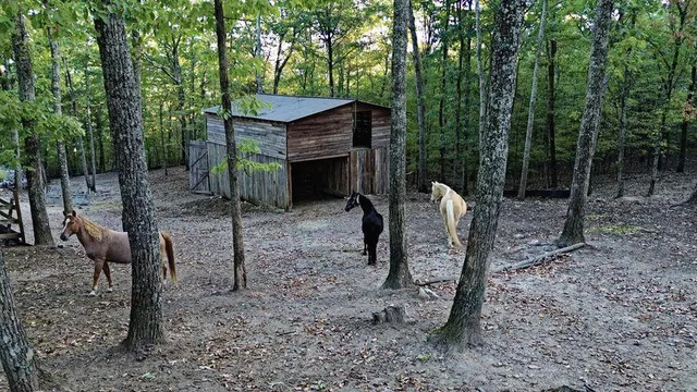 $570,000 | 1220 Lone Mountain Drive, Dayton, TN 37321