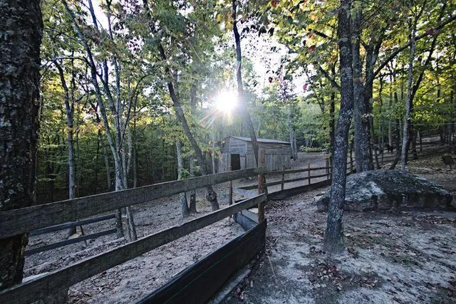 $570,000 | 1220 Lone Mountain Drive, Dayton, TN 37321