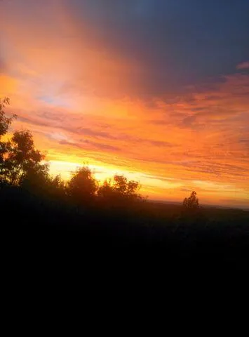 $570,000 | 1220 Lone Mountain Drive, Dayton, TN 37321