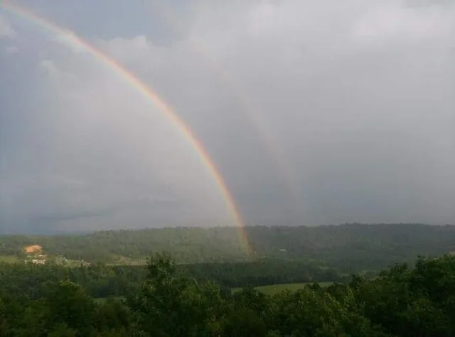 $570,000 | 1220 Lone Mountain Drive, Dayton, TN 37321