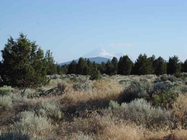 Lot# 40 Butte Creek Road Macdoel, CA 96058 - Photo 2 of 2 Gallery Image 2