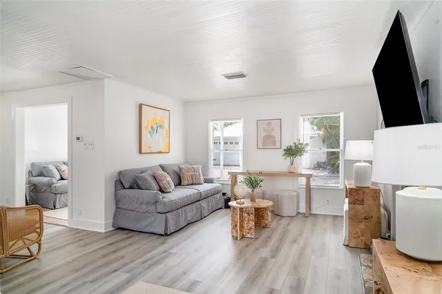 a living room with furniture and a potted plant