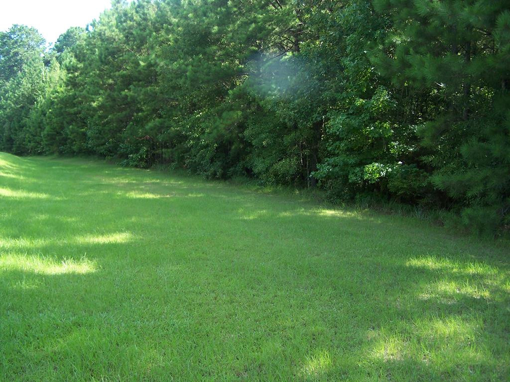 3692 Northwest Caseyville Rd Union Wesson, MS 39191 - Photo 1 of 1 Main View