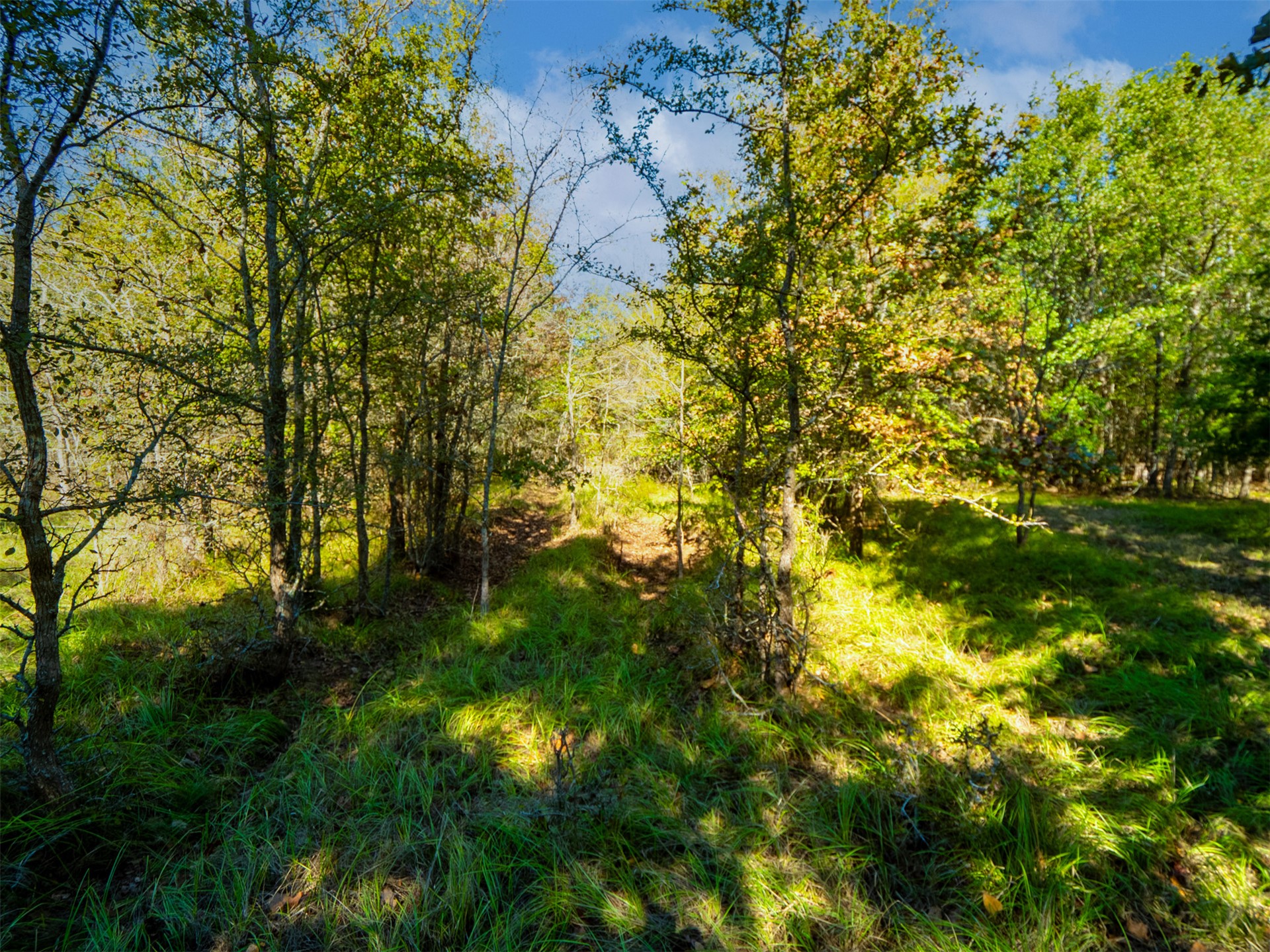 1599 North 4010 Road Boswell, OK 74727 - Photo 17 of 57 Wooded property featuring mature trees and natural ground cover