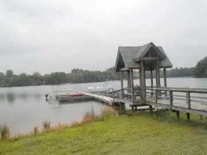 950 Jetton Street, Unit 1 Davidson, NC 28036 - Photo 8 of 8 a view of a lake with houses in the back
