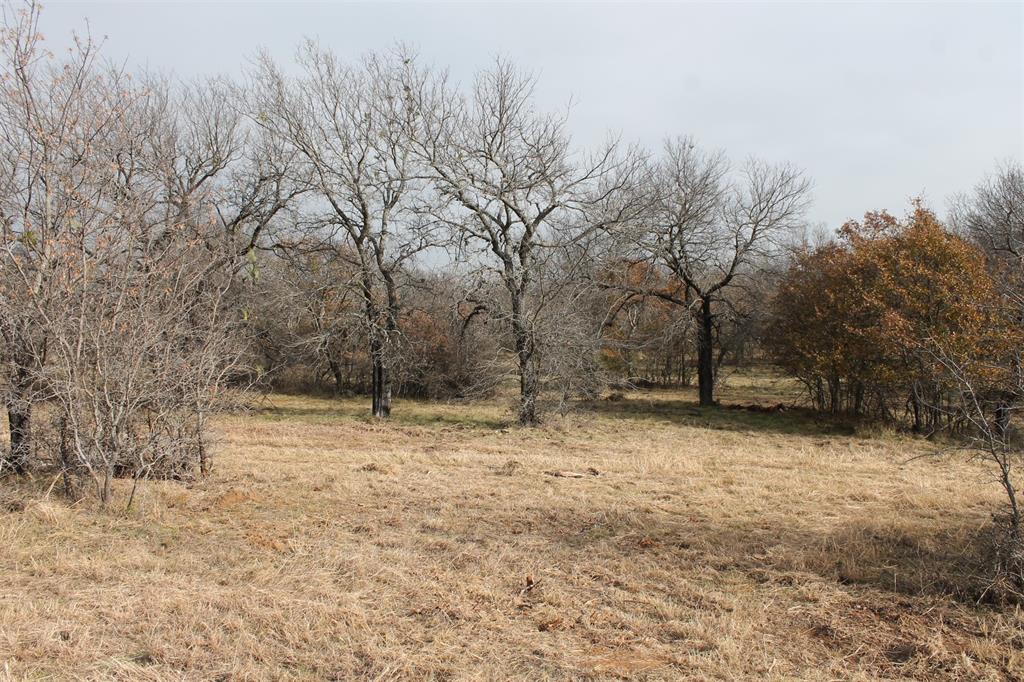 2-lots Ridgeline Drive Chico, TX 76431 - Photo 2 of 22 a view of a yard with trees