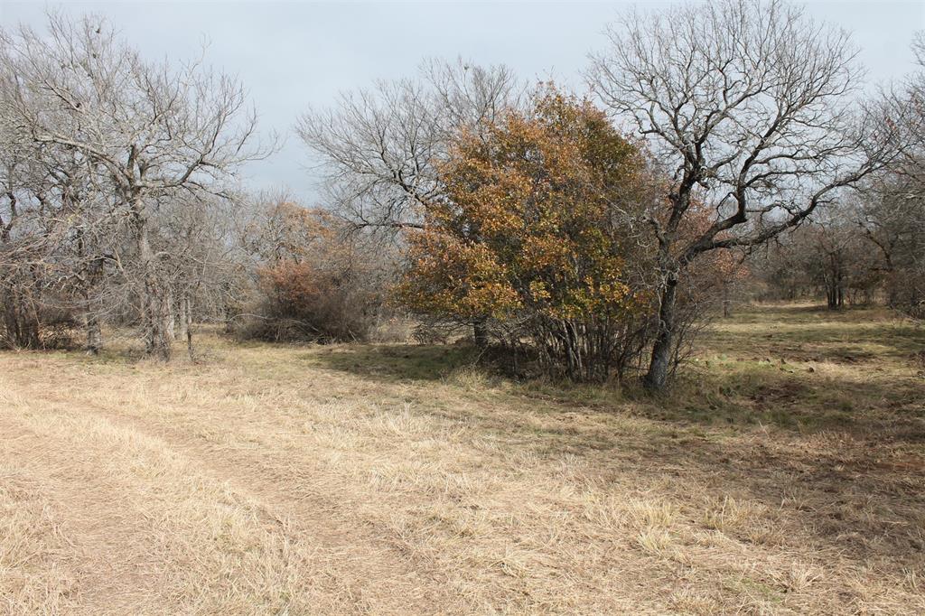 2-lots Ridgeline Drive Chico, TX 76431 - Photo 3 of 22 a view of a yard with a tree