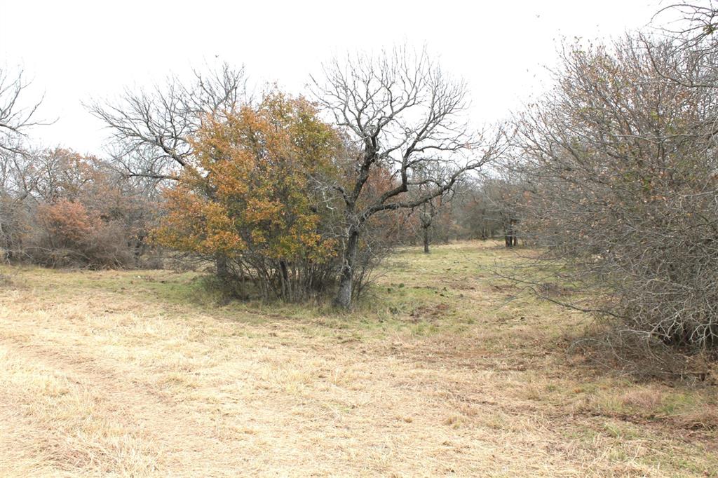 2-lots Ridgeline Drive Chico, TX 76431 - Photo 4 of 22 a view of a yard with a tree