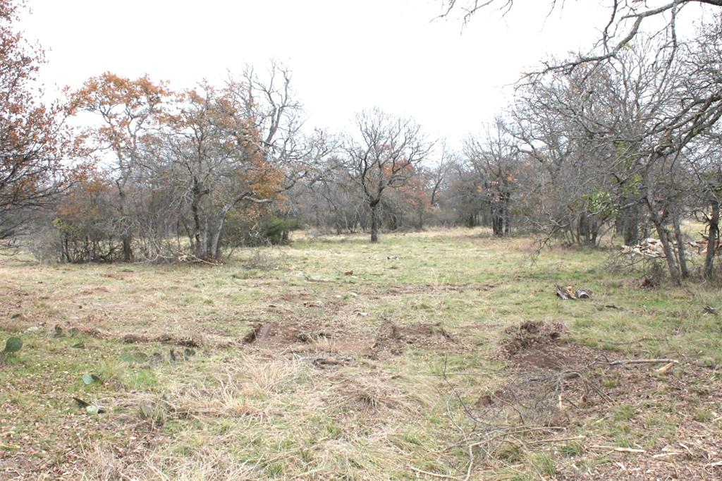 2-lots Ridgeline Drive Chico, TX 76431 - Photo 7 of 22 a view of dirt yard with trees
