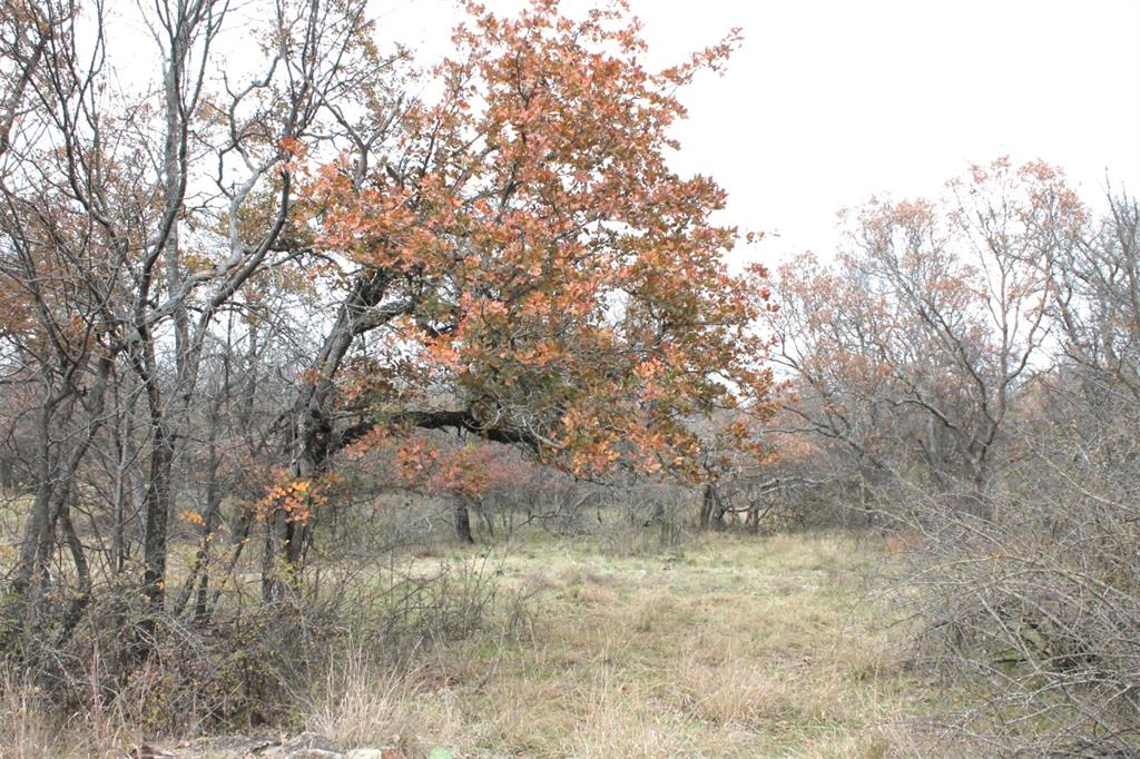 2-lots Ridgeline Drive Chico, TX 76431 - Photo 8 of 22 a view of a dry yard with trees