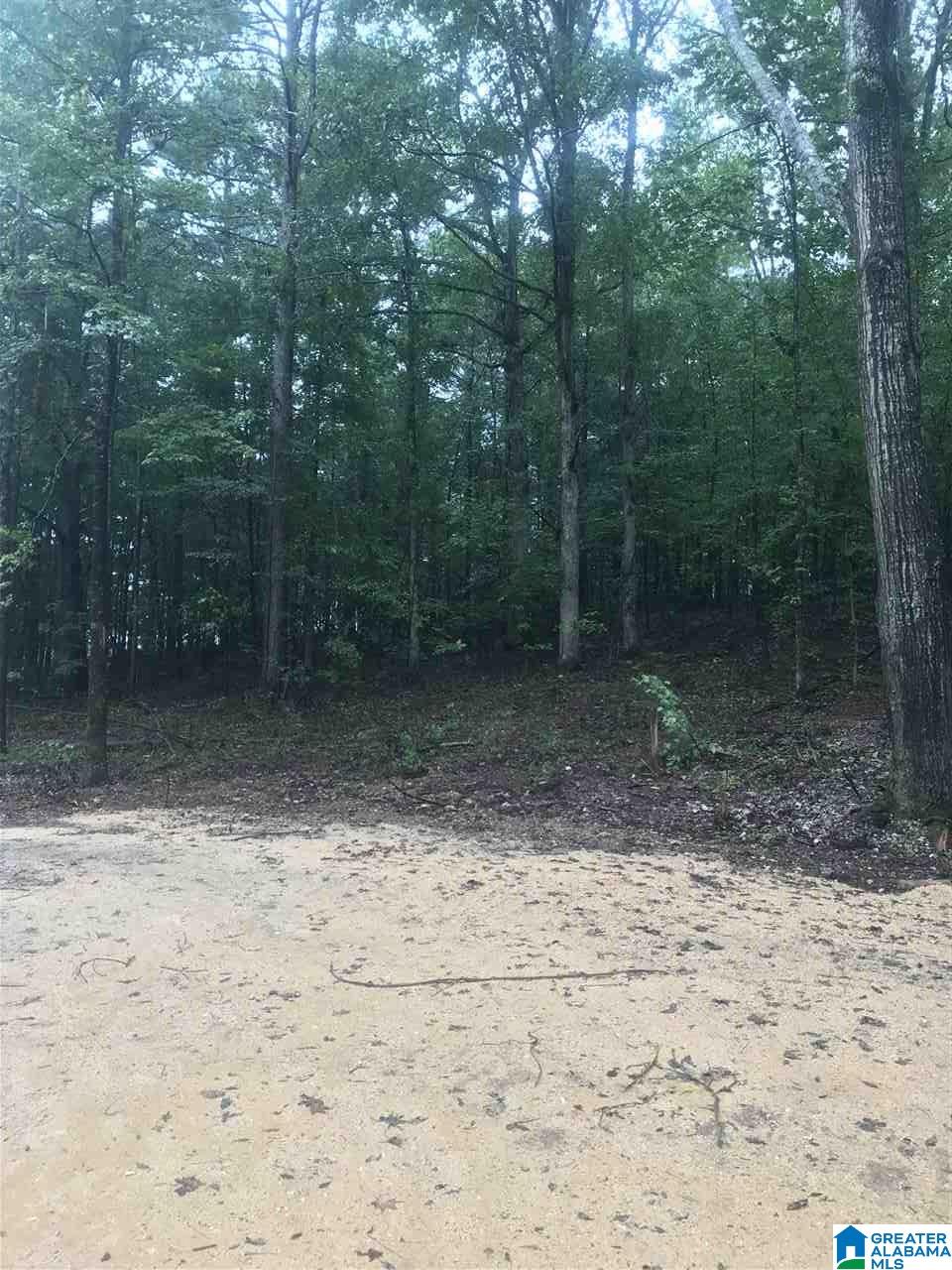 0 Cross Street, Unit 9 Springville, AL 35146 - Photo 1 of 2