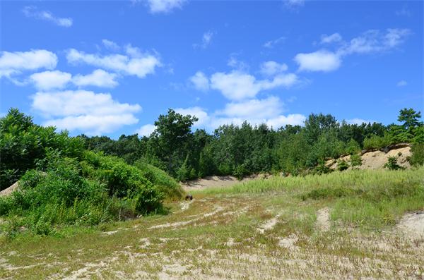 Lot 18 Fox Run Road Bolton, MA 01740 - Photo 1 of 2 Gallery Image 1