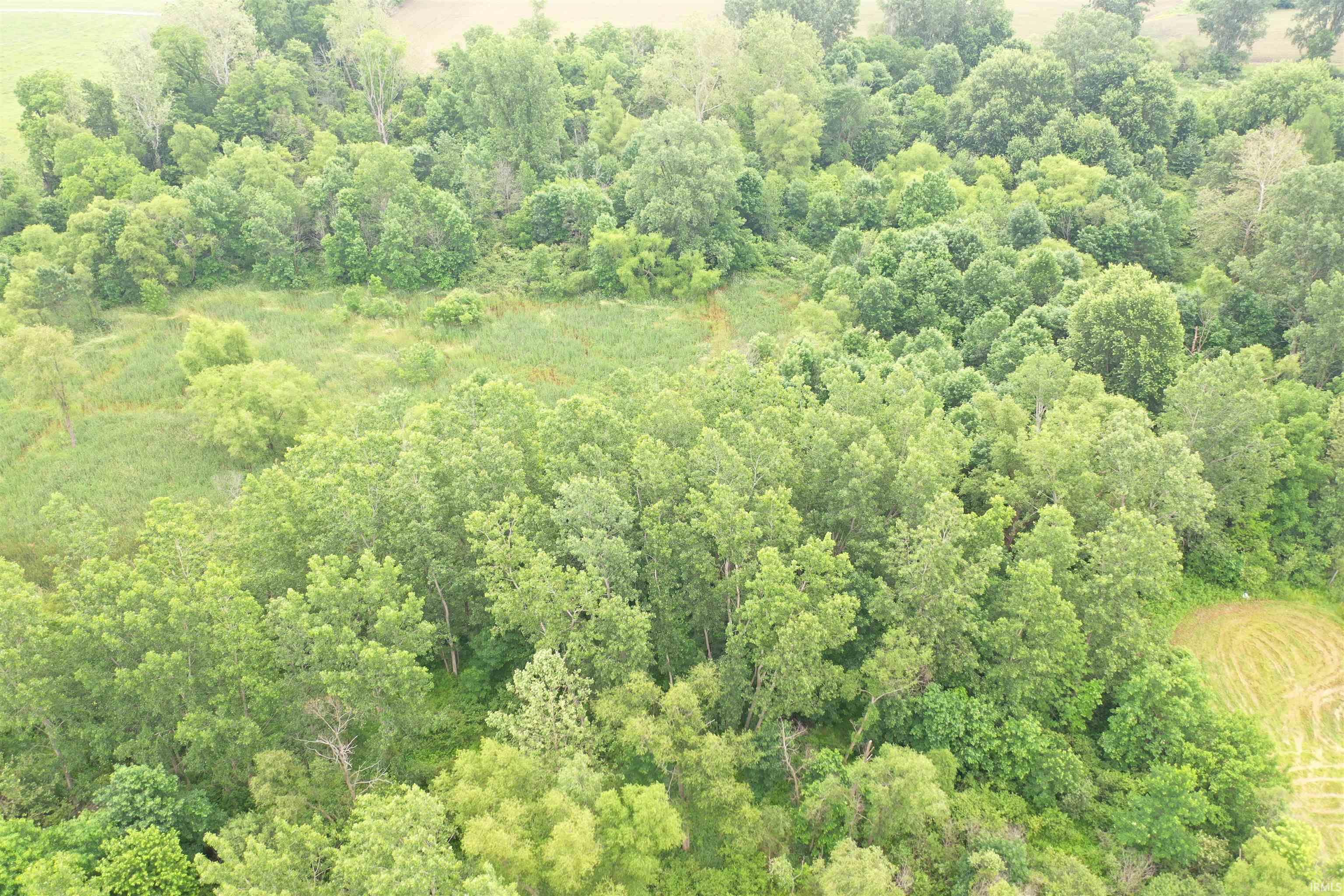 0 North State Road Alexandria, IN 46001 - Photo 8 of 13 Gallery Image 8