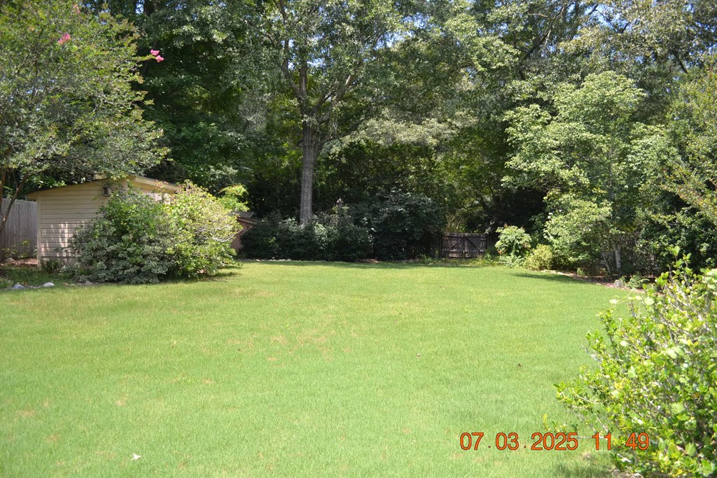 13642 Macon Road Upatoi, GA 31829 - Photo 20 of 34 a view of outdoor space and yard