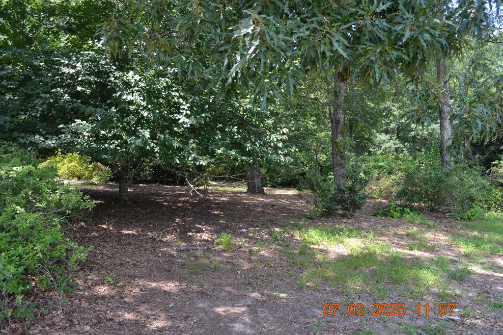 13642 Macon Road Upatoi, GA 31829 - Photo 26 of 34 a view of a forest with trees in the background