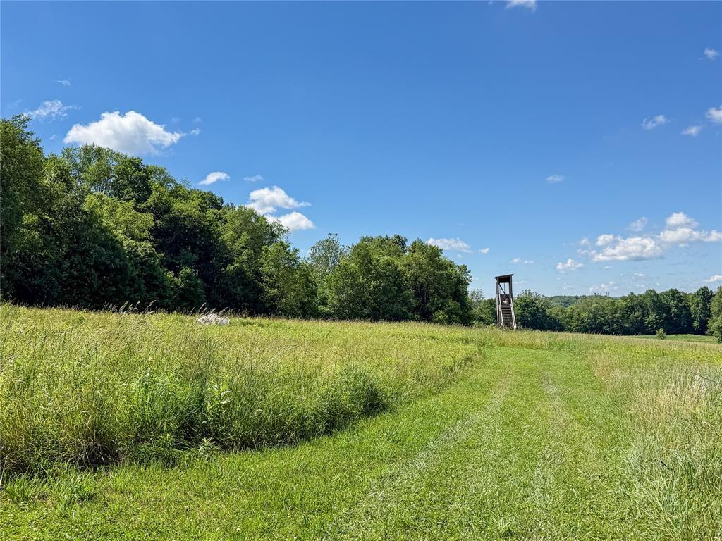 29677 Watson Road Cambridge Springs, PA 16403 - Photo 46 of 50