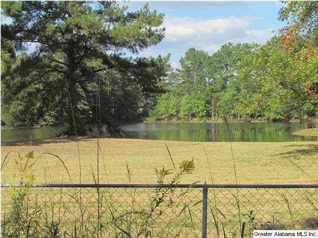 307 Kiowa Road Remlap, AL 35133 - Photo 6 of 20