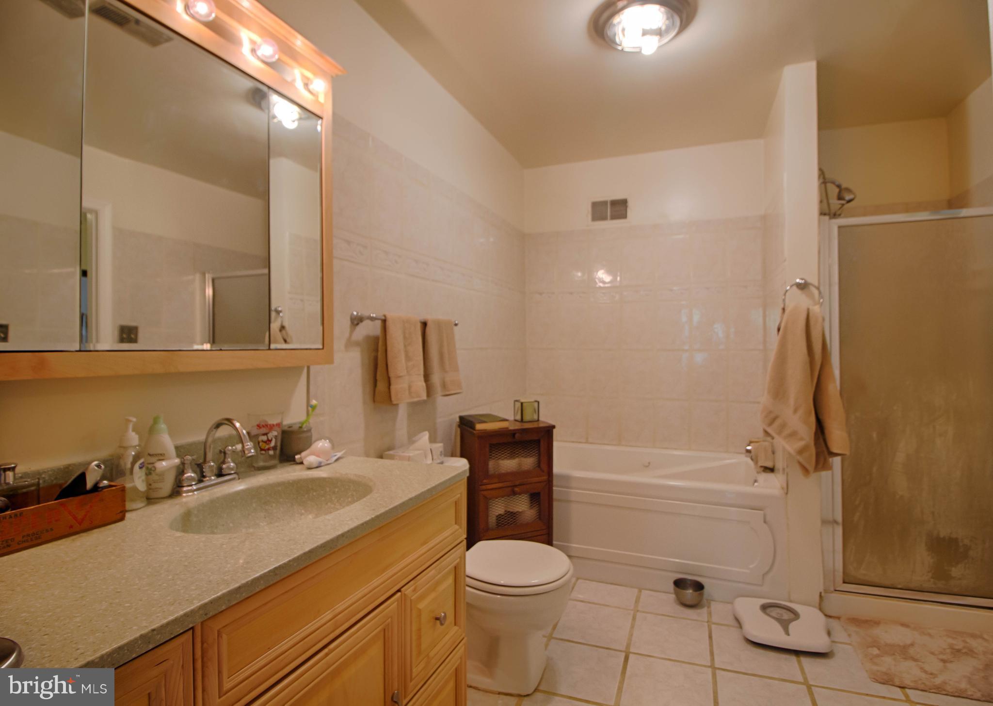 910 South Paca Street Baltimore, MD 21230 - Photo 17 of 30 Bath