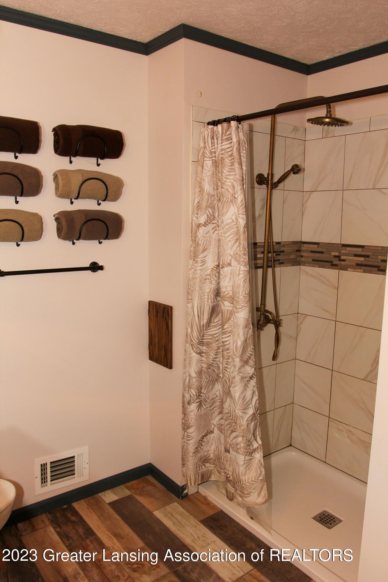 4100 South Williams Road Stockbridge, MI 49285 - Photo 40 of 71 Main Bathroom shower