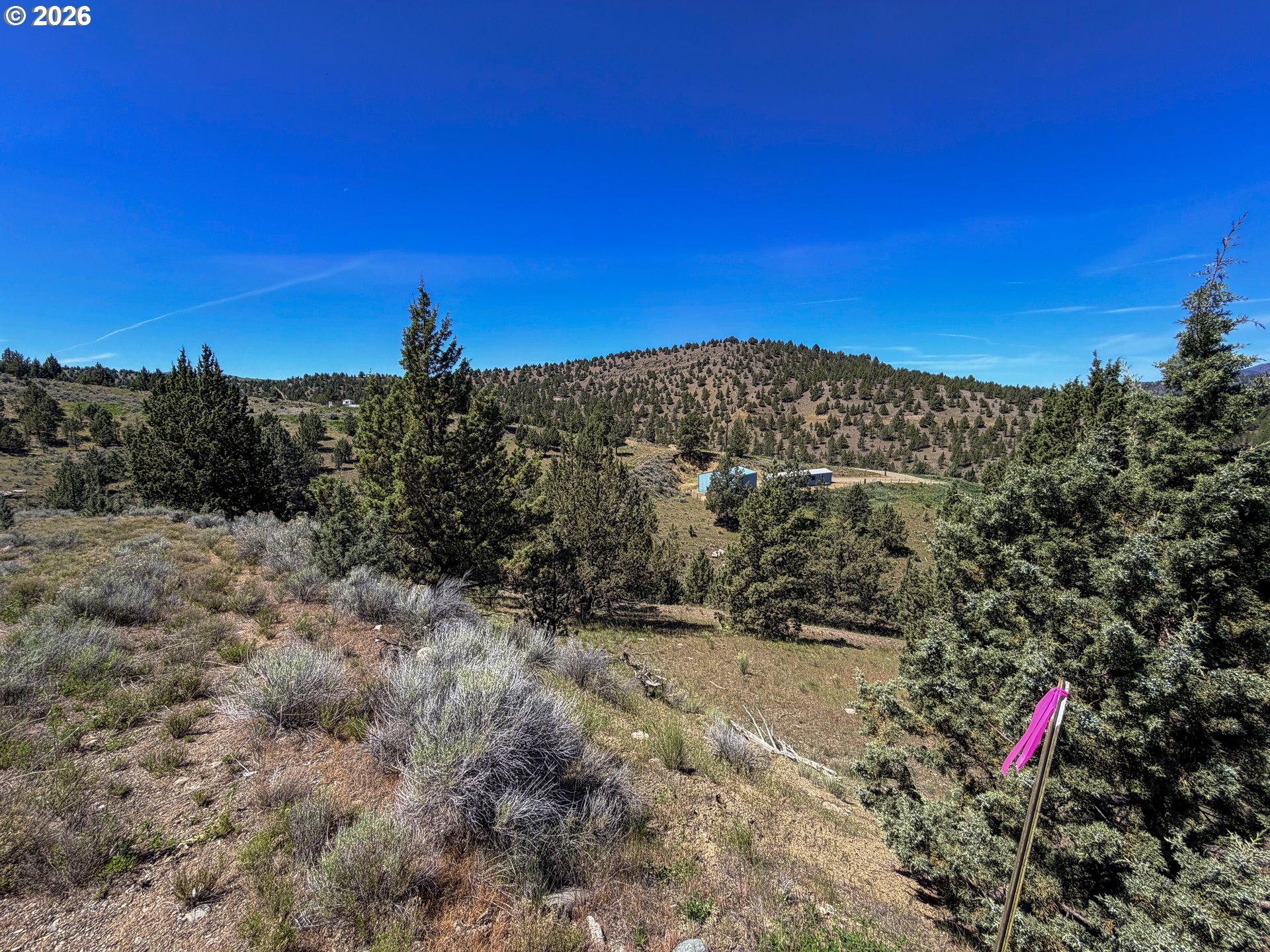 Luce Creek Road John Day, OR 97845 - Photo 10 of 18