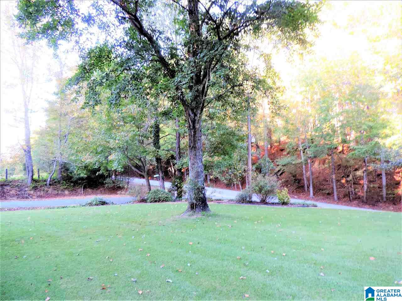 386 South Cemetery Road Blountsville, AL 35031 - Photo 15 of 35