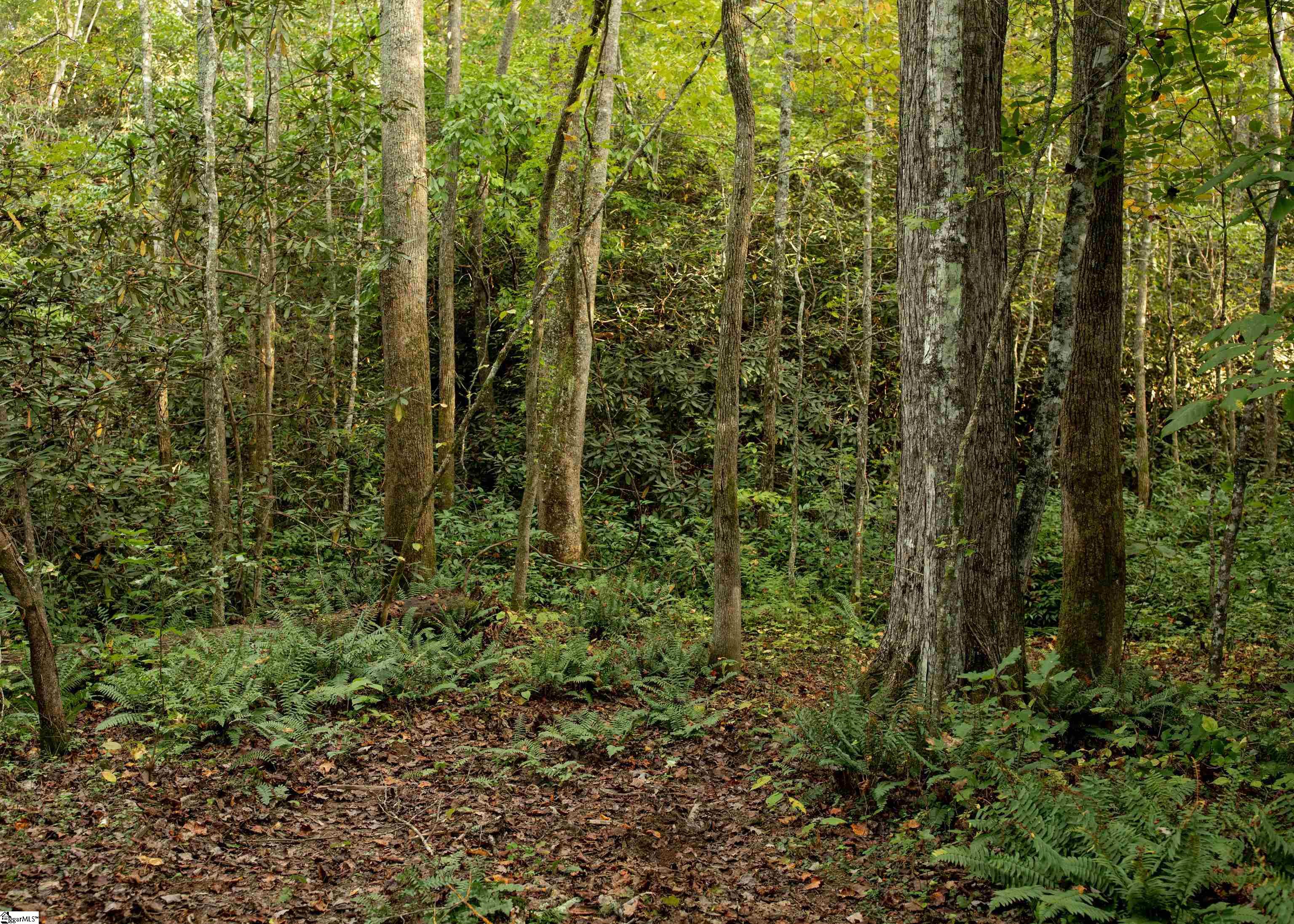 755 Bailey Mill Road Travelers Rest, SC 29690 - Photo 35 of 35 Gallery Image 35