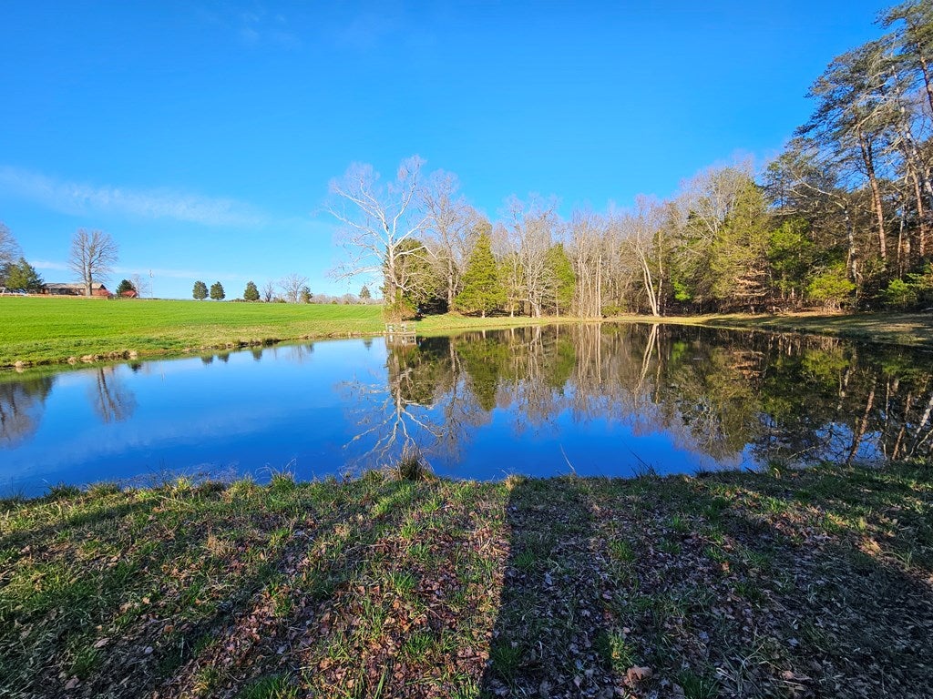 634 Salem Church Road Dillwyn, VA 23936 - Photo 18 of 36 Gallery Image 18