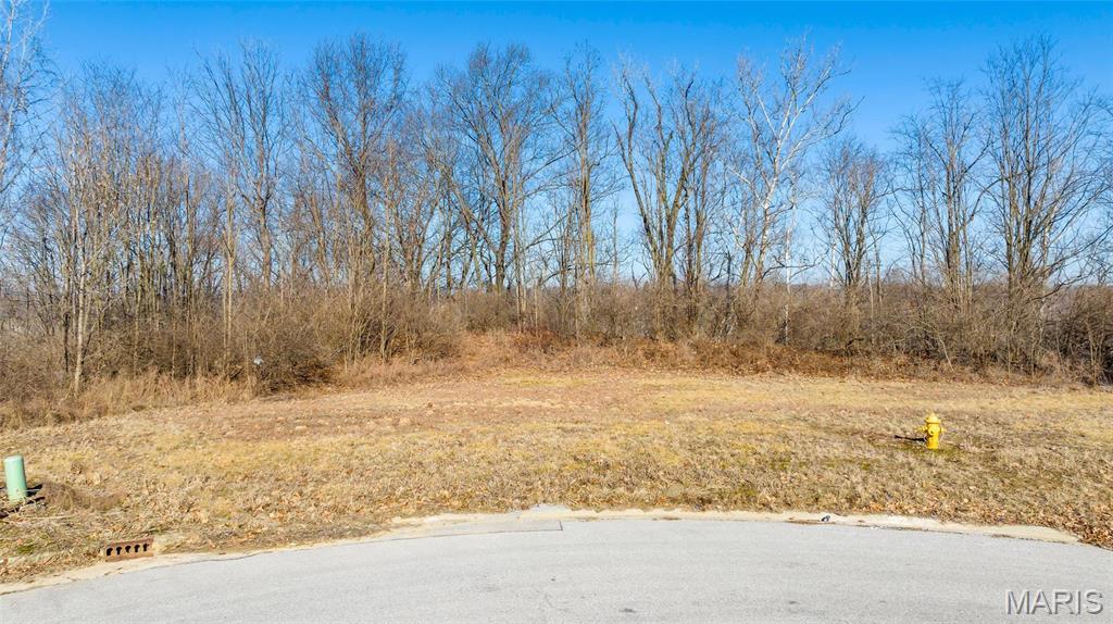 8038 Tahoe Rdg Lane Caseyville, IL 62232 - Photo 3 of 16