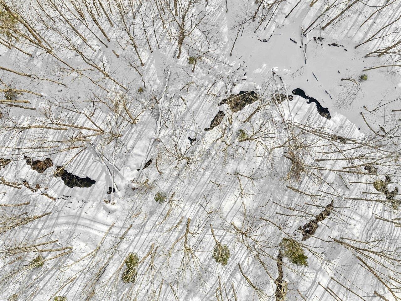 1503 Highway 64 Northfield, VT 05663 - Photo 45 of 47