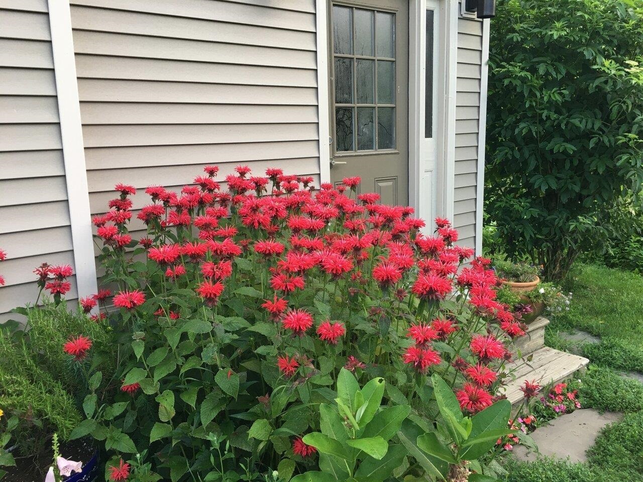 1503 Highway 64 Northfield, VT 05663 - Photo 46 of 47