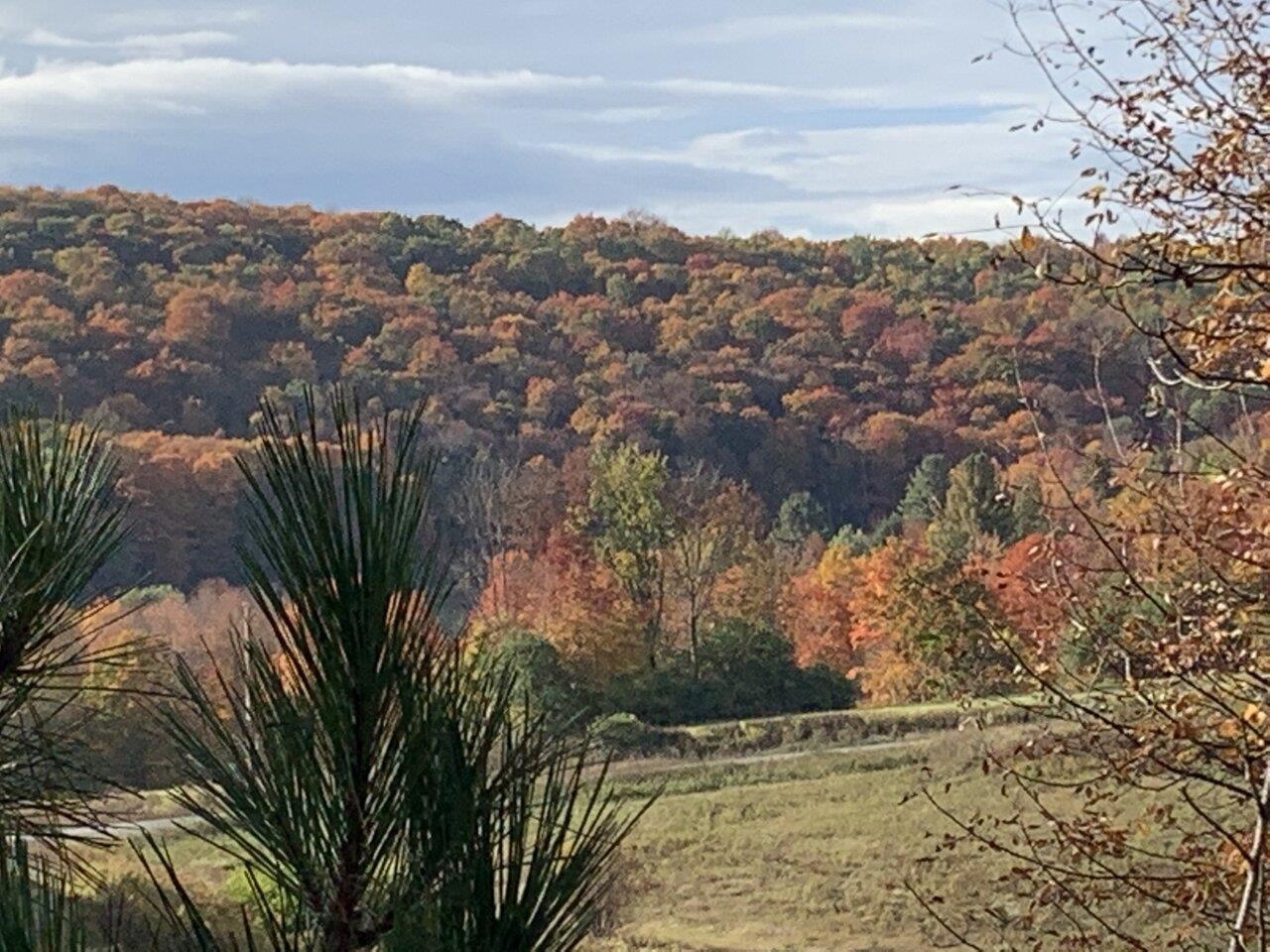 1503 Highway 64 Northfield, VT 05663 - Photo 47 of 47