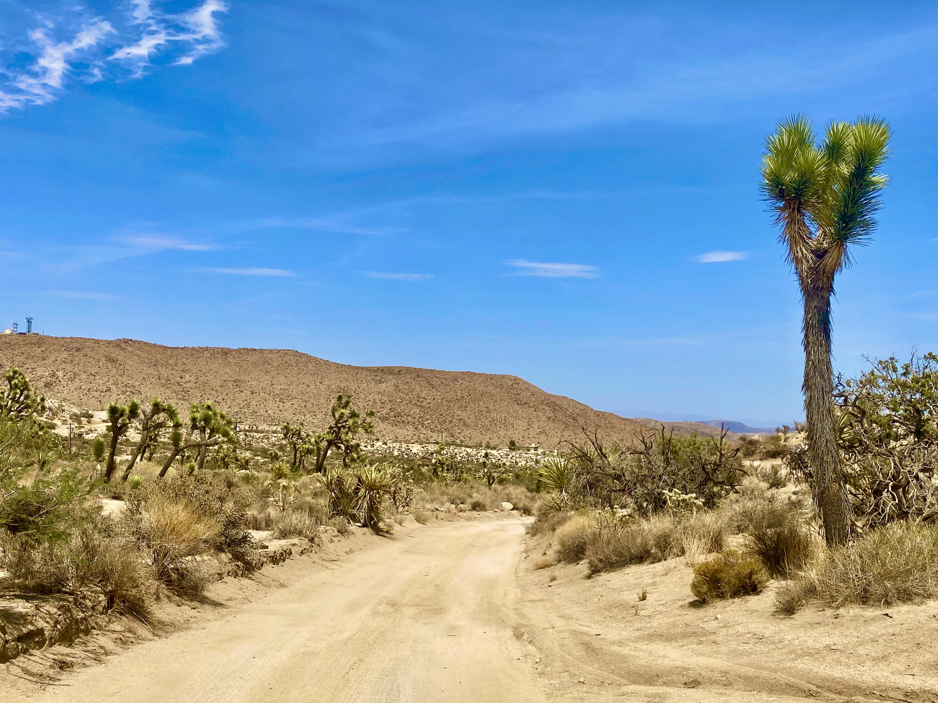 104 Bandera Road Yucca Valley, CA 92284 - Photo 37 of 48 IMG_3538