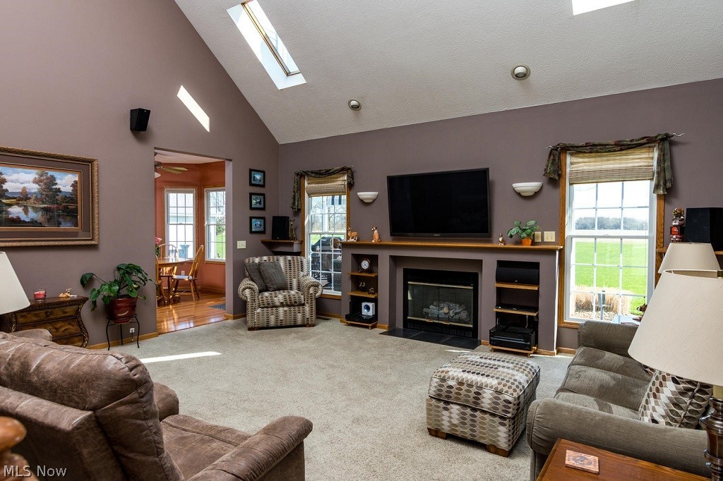 40617 Slife Road Lagrange, OH 44050 - Photo 4 of 35 Gallery Image 4