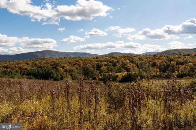 a view of a volley ball court