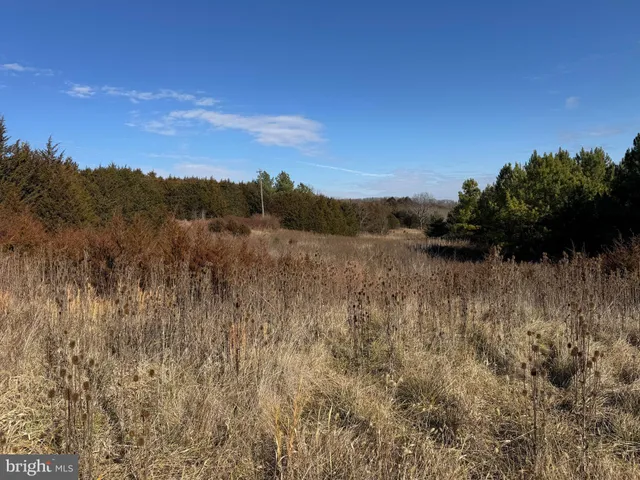 $999,000 | 461 Thunderbird Road, Bentonville, VA 22610