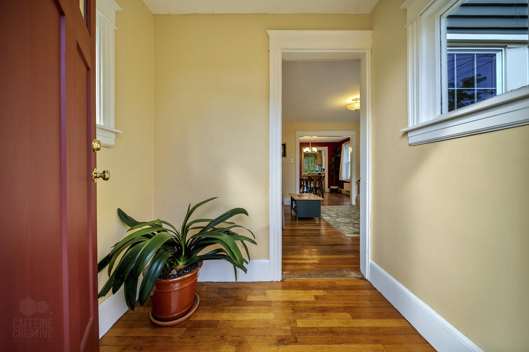 49 Murray Street Portland, ME 04103 - Photo 6 of 28 murray-jackson-caffeine-15