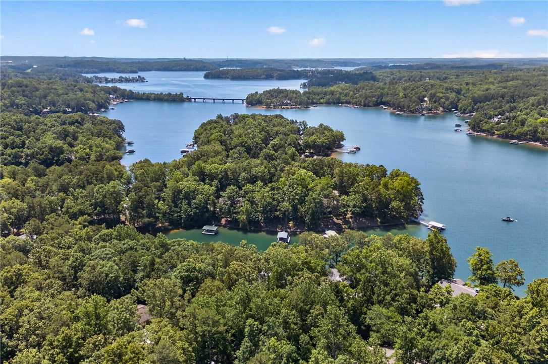 9 Lookout Lane Salem, SC 29676 - Photo 36 of 46 Discover expansive lake views and verdant wooded shores from this exceptional property, featuring a private dock.