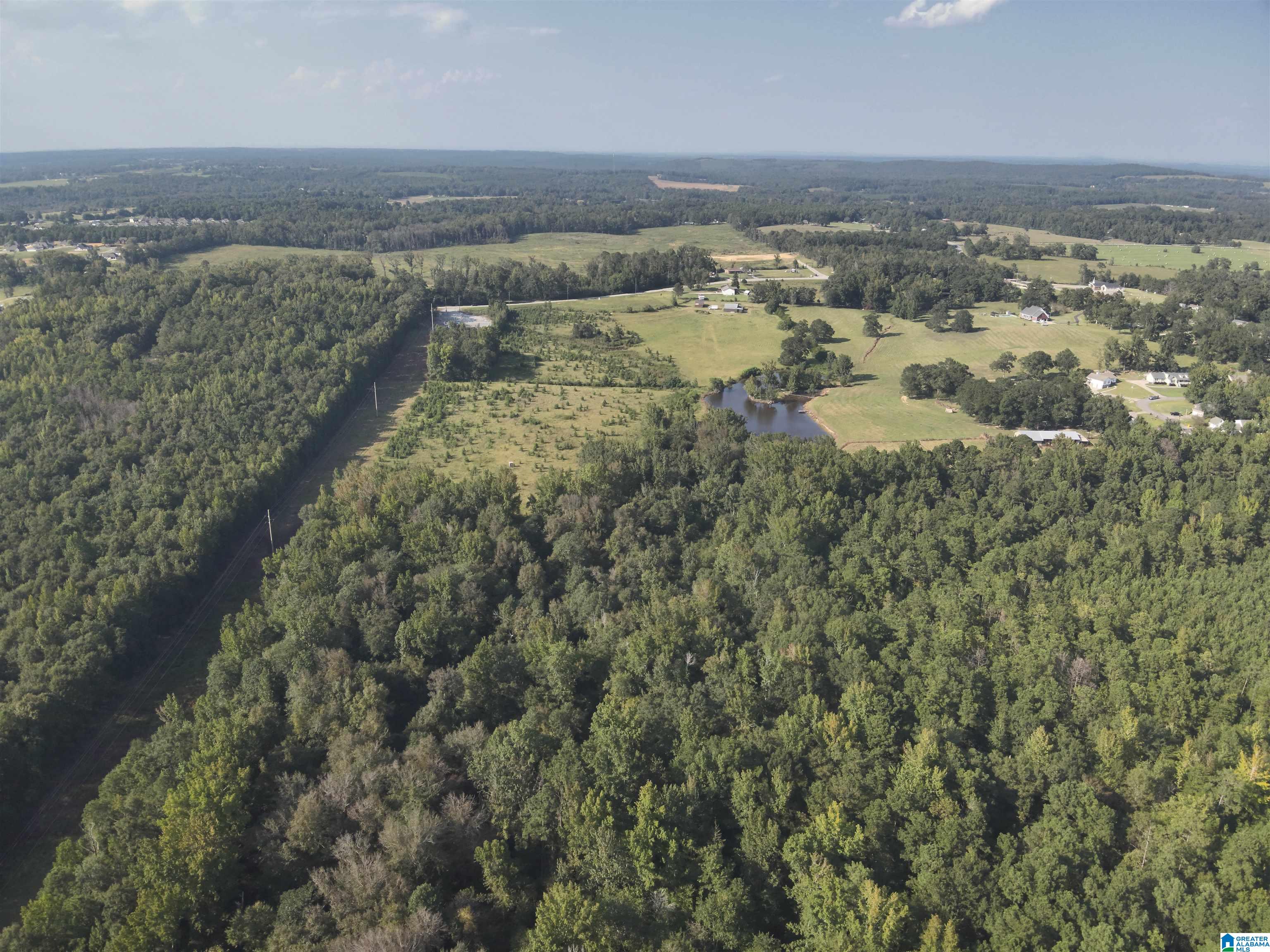 0 New Harmony Road, Unit 35 ACRES / Clanton, AL 35045 - Photo 15 of 21