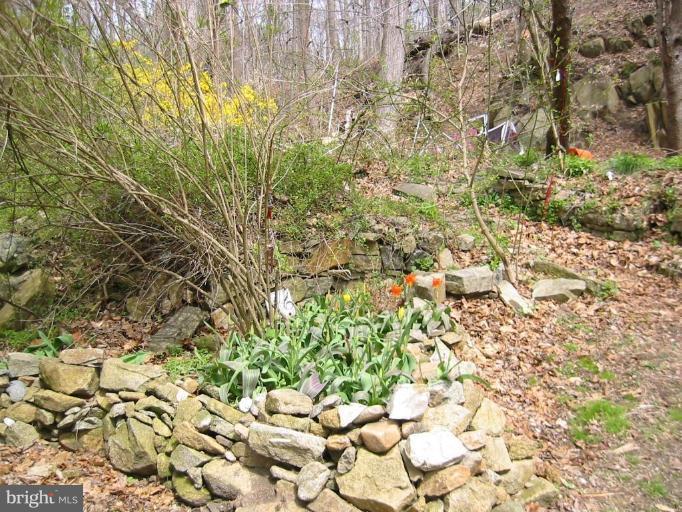 197 Basin Run Road Conowingo, MD 21918 - Photo 5 of 8 Garden