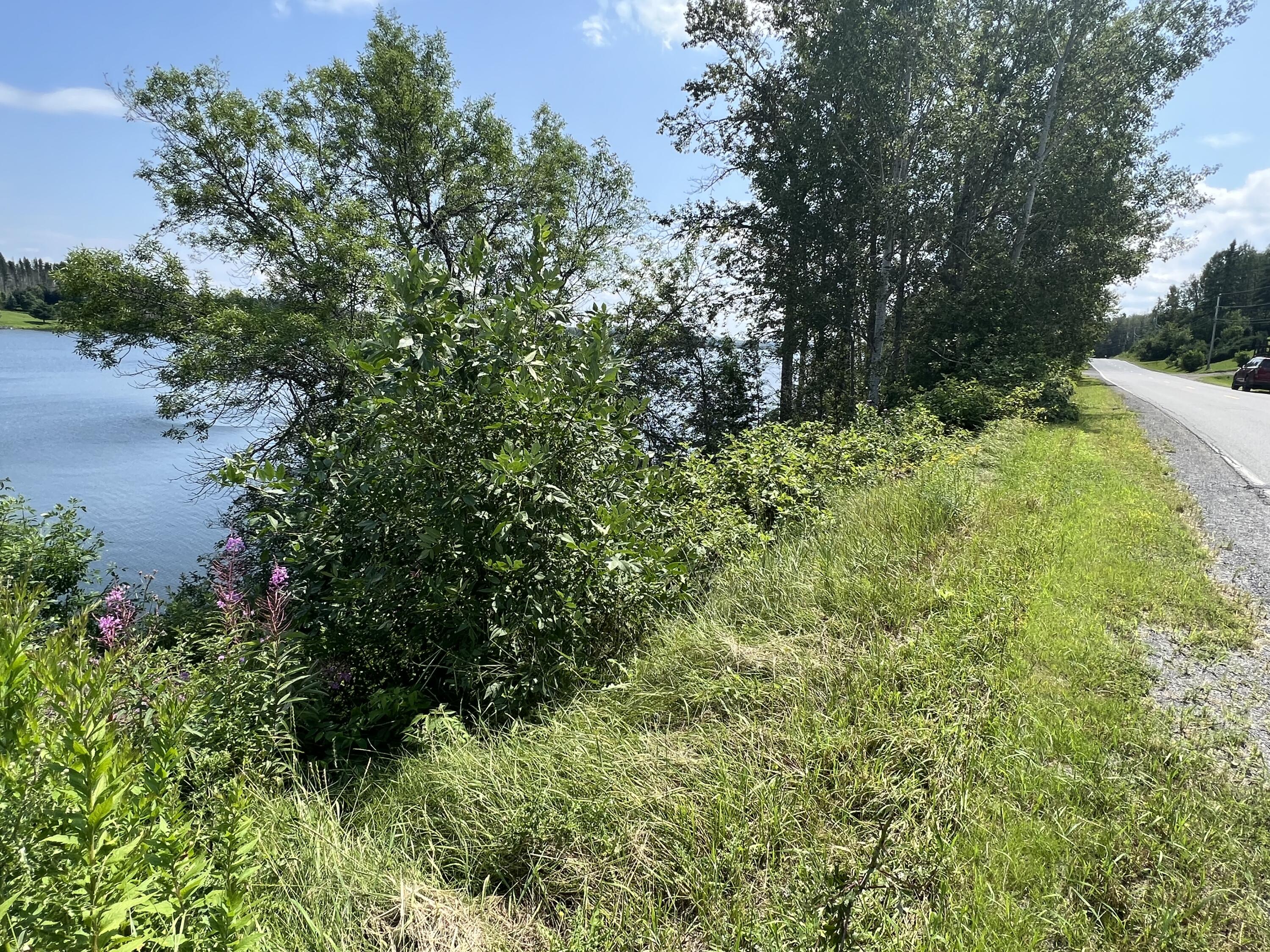 367 Cleveland Road St. Agatha, ME 04772 - Photo 11 of 33 IMG_8552