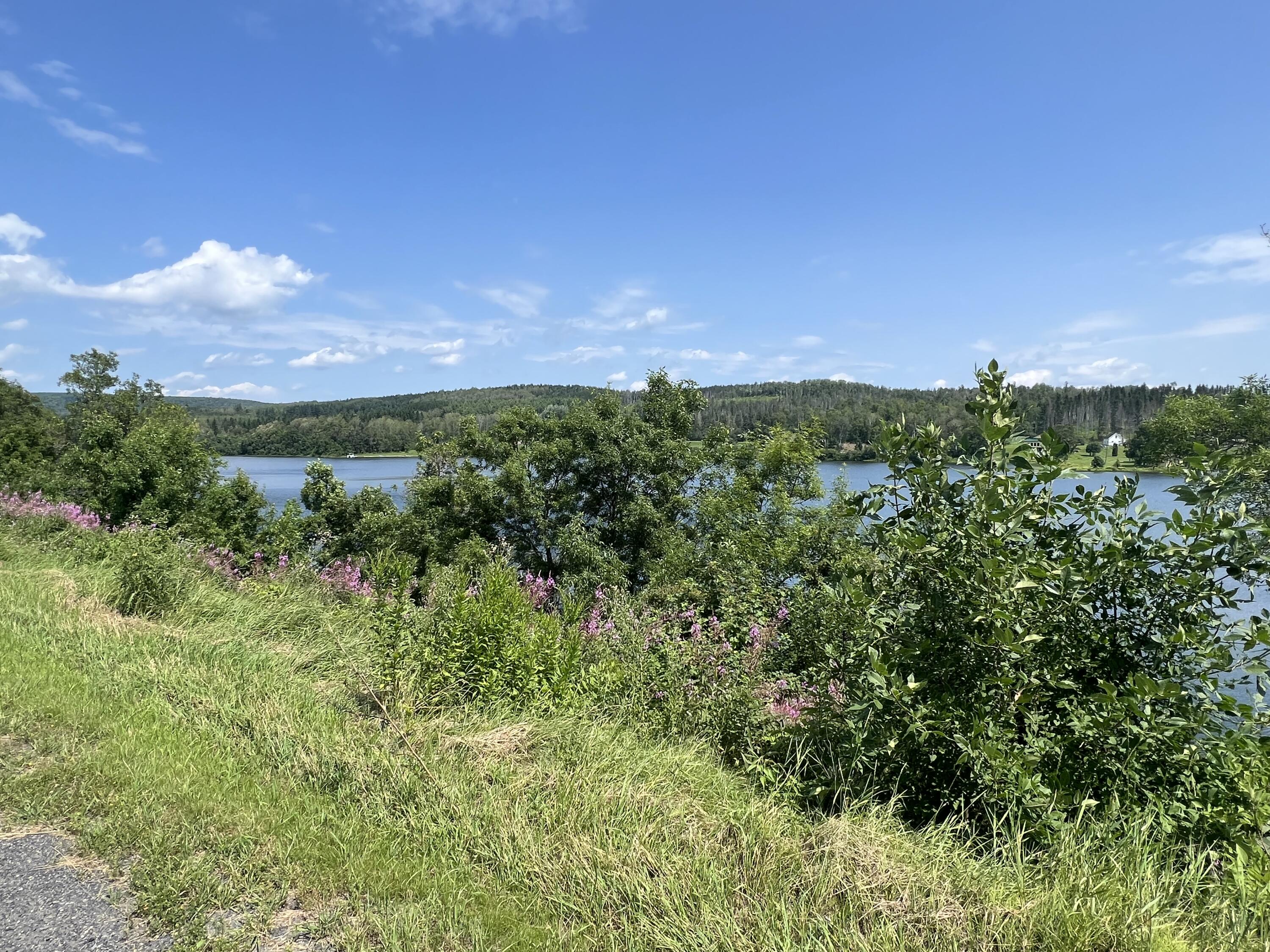 367 Cleveland Road St. Agatha, ME 04772 - Photo 8 of 33 IMG_8549