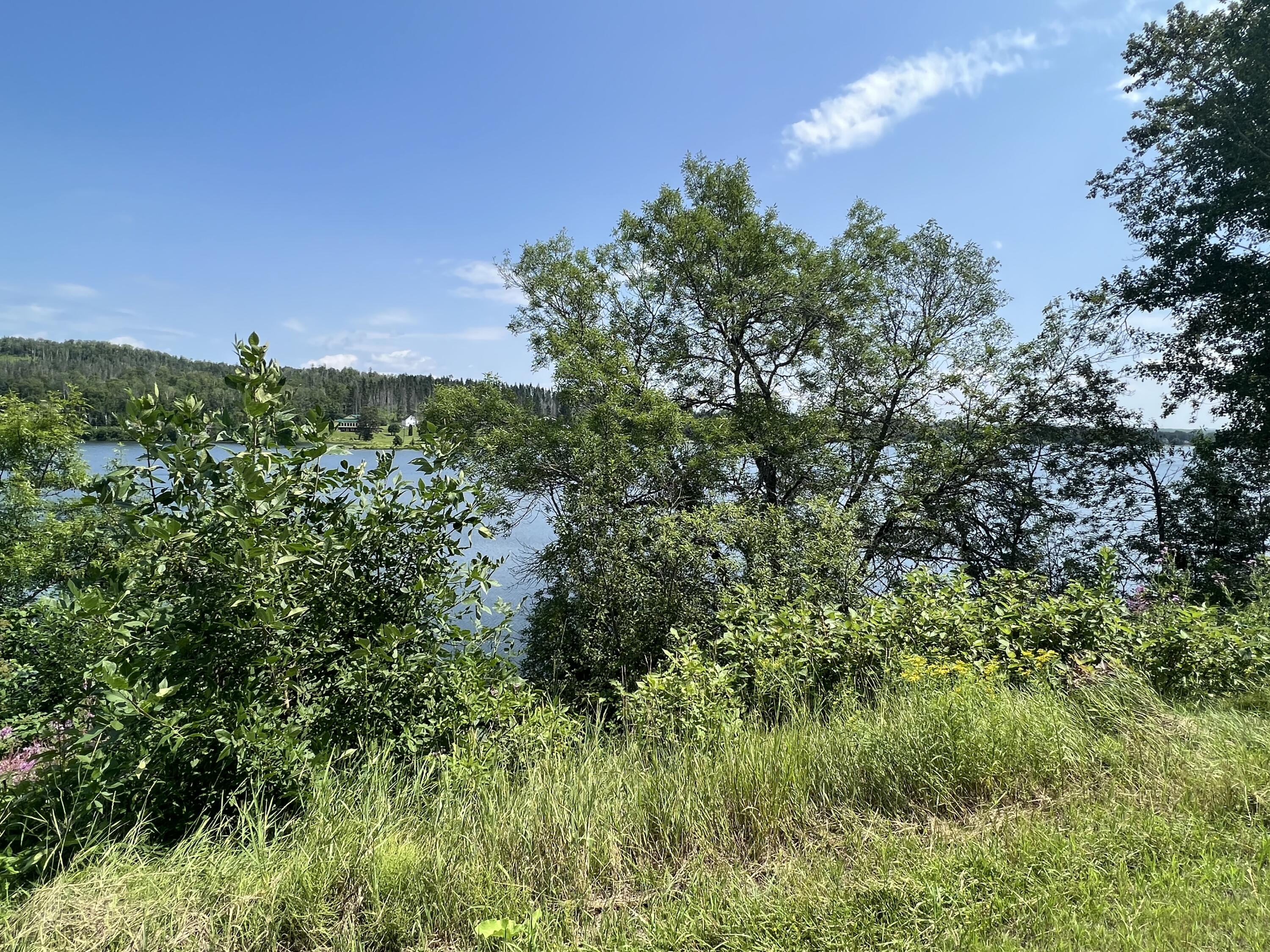 367 Cleveland Road St. Agatha, ME 04772 - Photo 9 of 33 IMG_8550