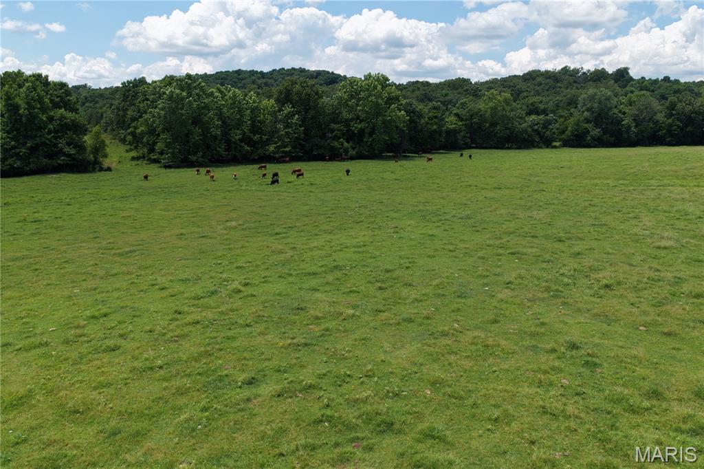 Tbd Fairview Road Imboden, AR 72434 - Photo 20 of 24