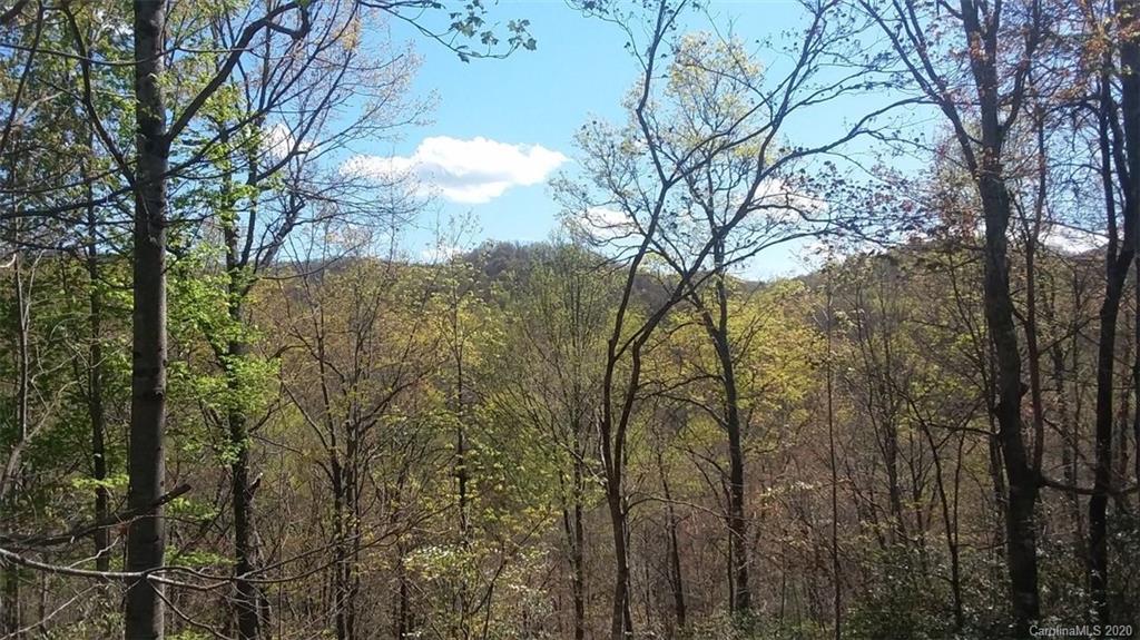 530 Line Runner Ridge Road, Unit 30 Rosman, NC 28772 - Photo 35 of 40 Gallery Image 35