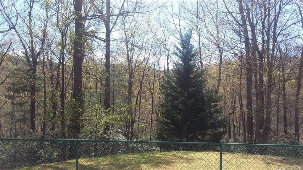 530 Line Runner Ridge Road, Unit 30 Rosman, NC 28772 - Photo 38 of 40 Gallery Image 38