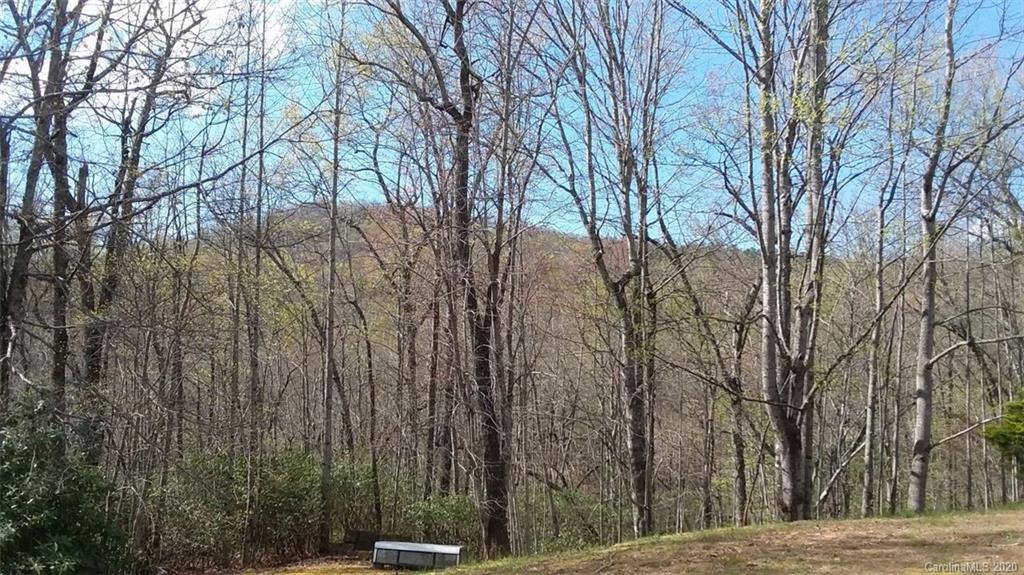 530 Line Runner Ridge Road, Unit 30 Rosman, NC 28772 - Photo 40 of 40 Gallery Image 40