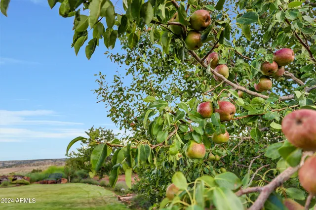 a view of a pathway both side of lake