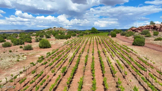 $5,000,000 | 14 County Road 5309, Concho, AZ 85924