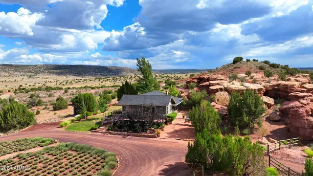 a view of backyard with outdoor seating and plants