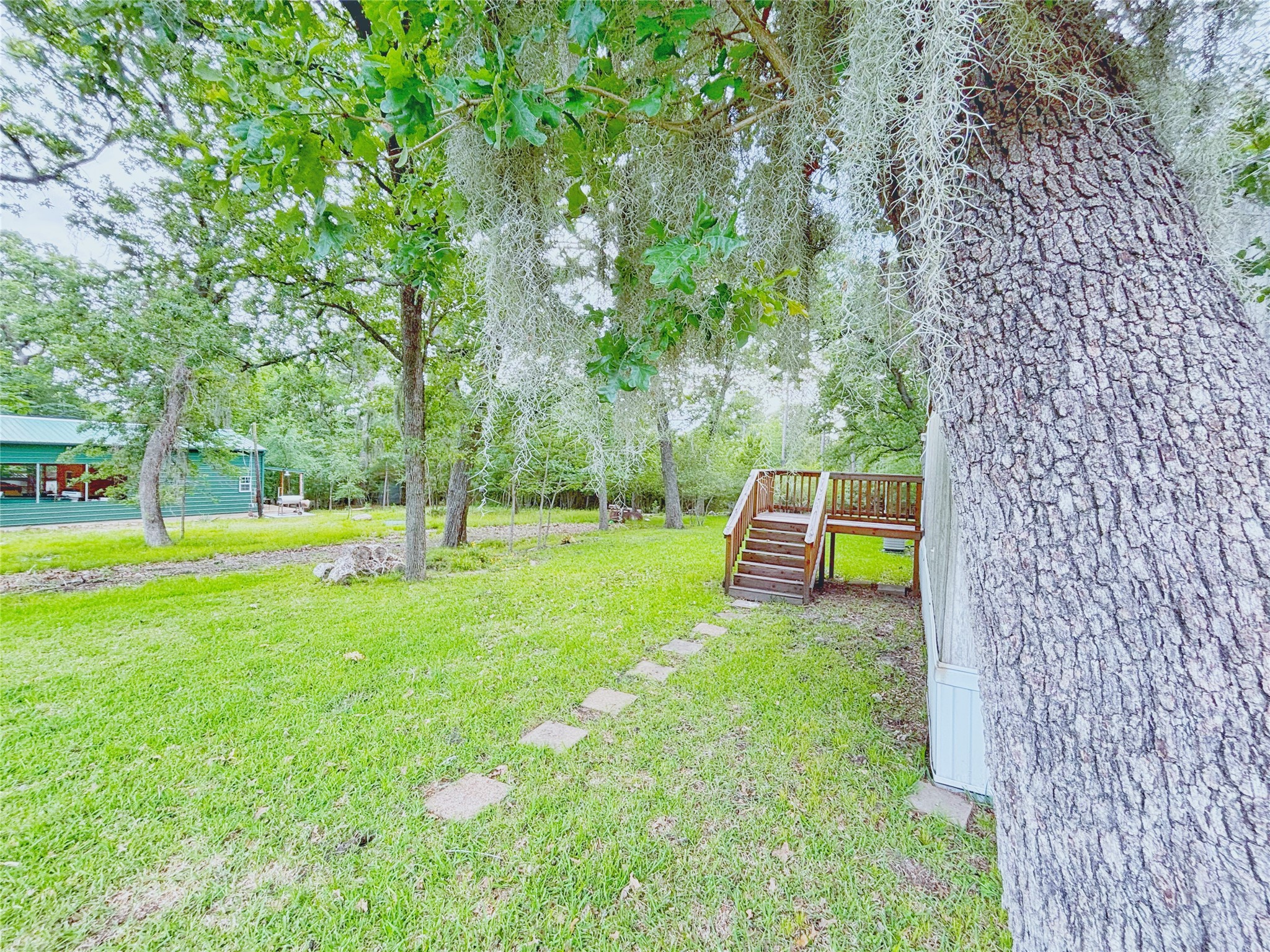 8 River Drive Trinity, TX 75862 - Photo 24 of 36 a view of a park with large trees